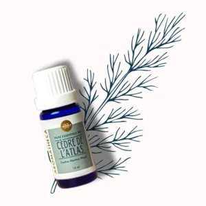 Huile essentielle Cèdre de l&rsquo;Atlas Bio 10 ml