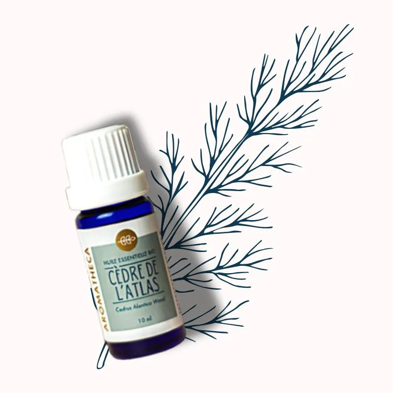 he-cedre-atlas
