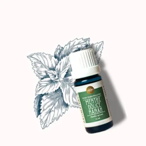 Huile essentielle Menthe Douce Nanah Bio 10 ml