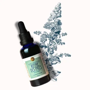 Macérât Huileux Reine des Prés bio 50 ml