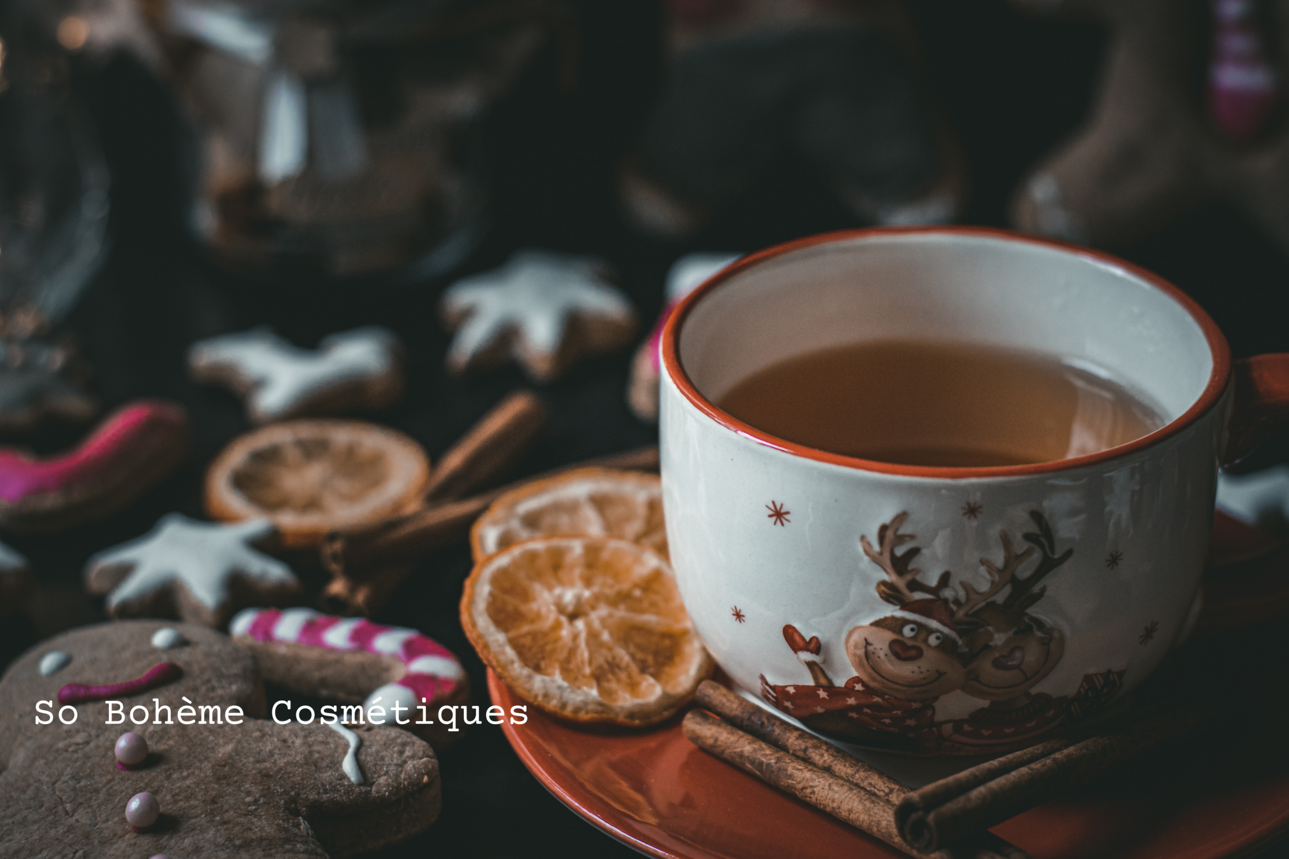 blog-kit-de-survie-holistique-pour-les-fetes-de-fin-d-année blog-kit-de-survie-holistique-pour-les-fetes-de-fin-d-année